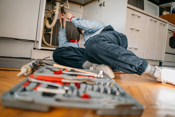 Best Same-Day Plumbing Service  in Albion, NY