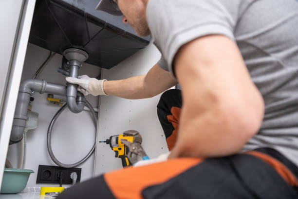 Best Plumbing Services Near Me  in Albion, NY